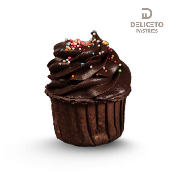 Chocolate Sprinkle Cupcake